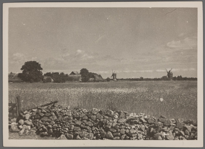 Järveküla küla