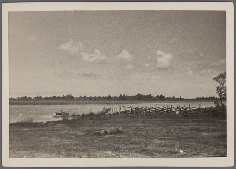 Järveküla järv
