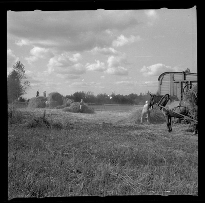 Viljapeksmine ja põhu kuhja panek  similar photo