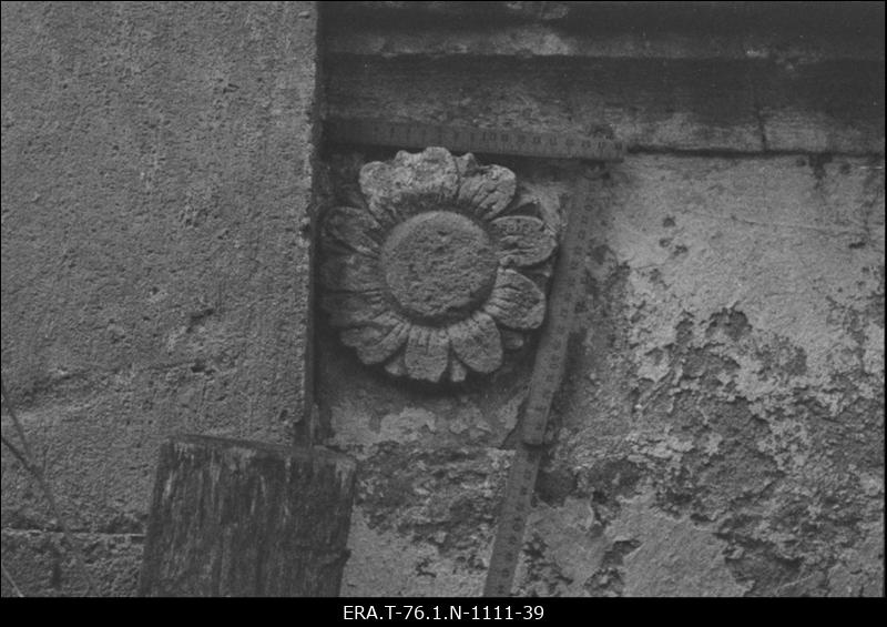 Aderkasi kabel. Raiddetail- lill parempoolse figuuri all.