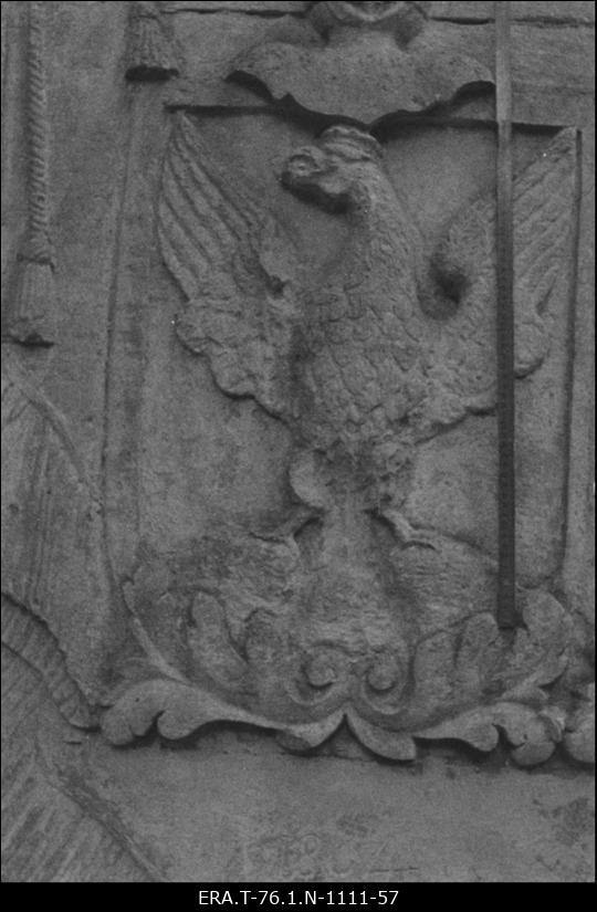 Aderkasi kabel. Detail G. Von Berg'i vapist.