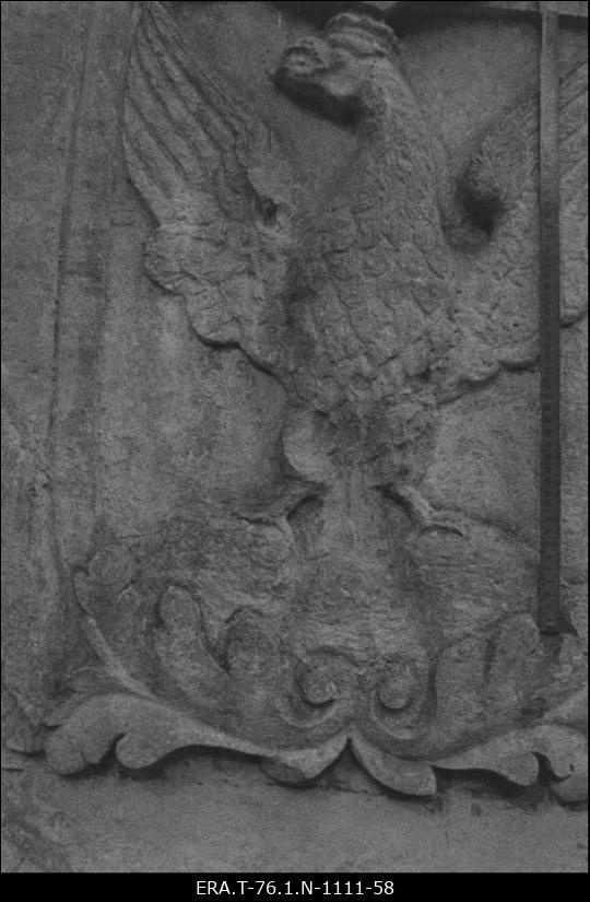 Aderkasi kabel. Detail G. Von Berg'i vapist.