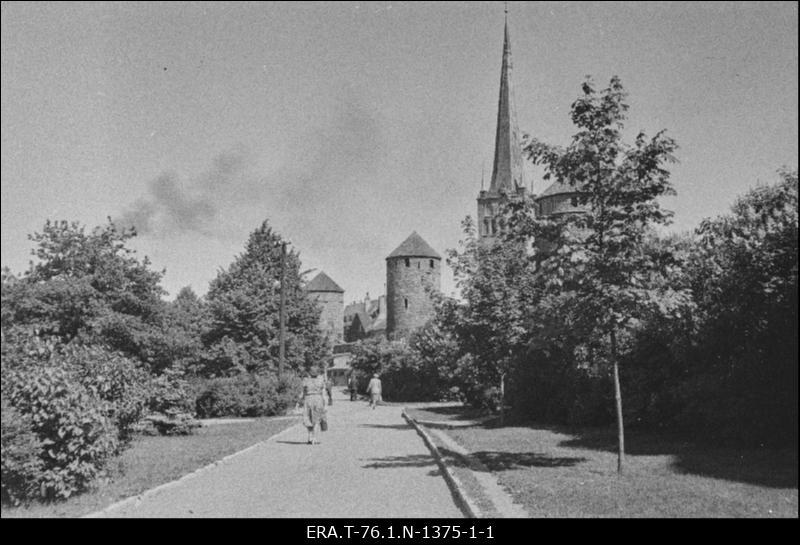 All-linna kindlustused-linnamüür, tornid, väravaehitised, muldkindlustused, vallikraav. Tornide väljak. Vaade Oleviste kiriku poole. Ees puid.