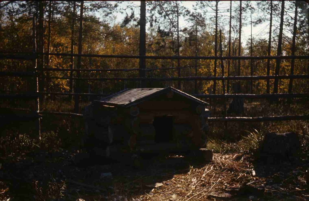 PIM- Handid