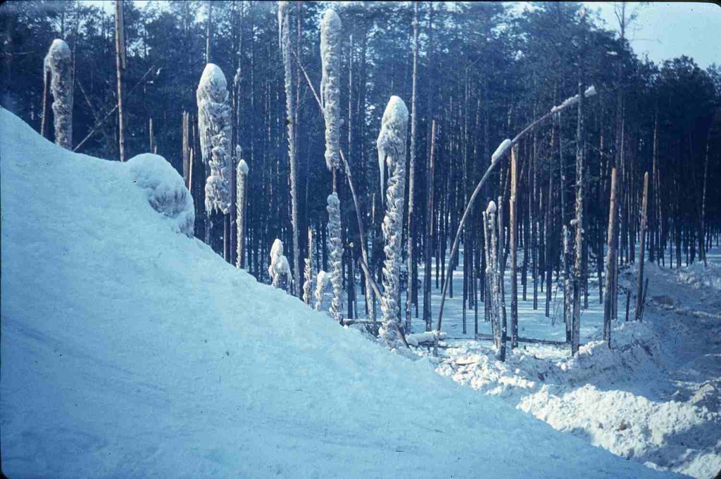 PIM - loodus talvel