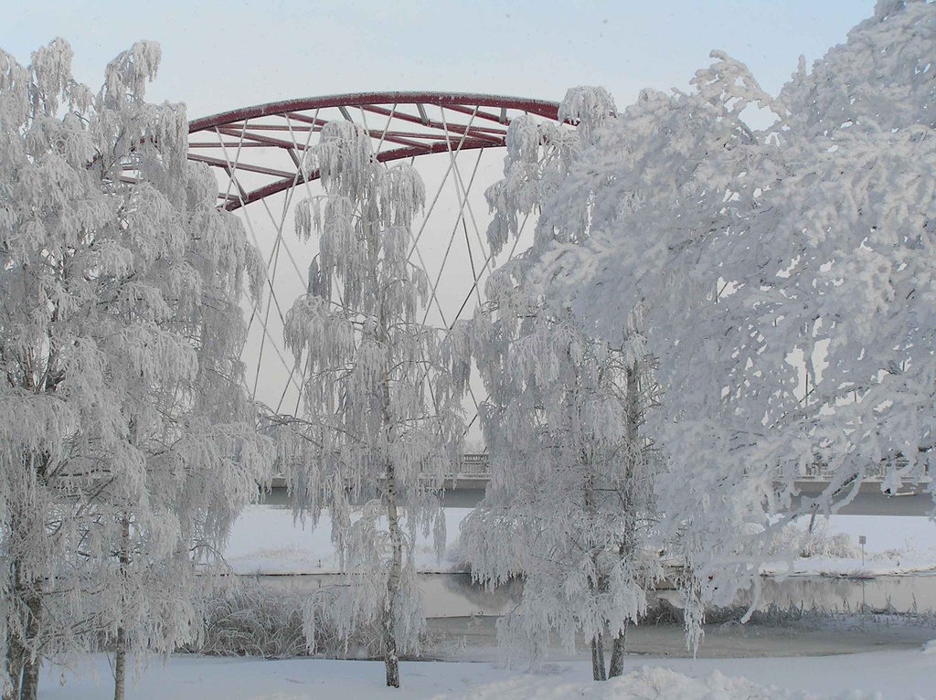 Talv Rannu-Jõesuu sillal 23. dets 2009