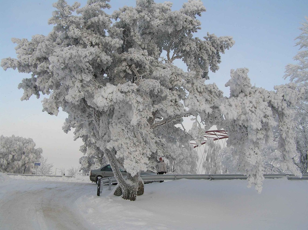 Talv Rannu-Jõesuu sillal 23. dets 2009