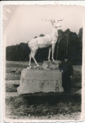 Maanteeskulptuur Hirv  similar photo