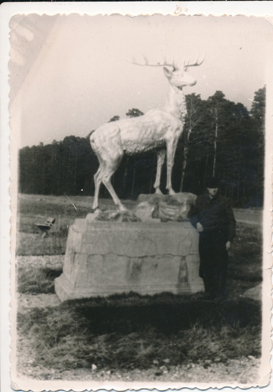 Maanteeskulptuur Hirv