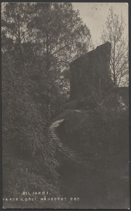 fotopostkaart, Viljandi, Suurorg, nõlv Suurmüüri taga, trepp, u 1905, foto J. Riet (Fellin)