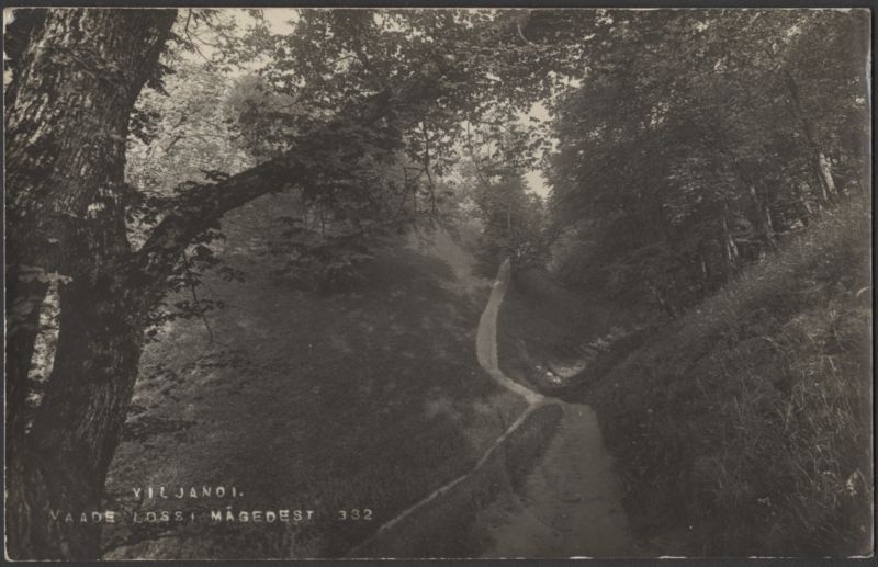 fotopostkaart, Viljandi, lossimäed, Suurorg?, jalgtee, u 1915, foto J. Riet