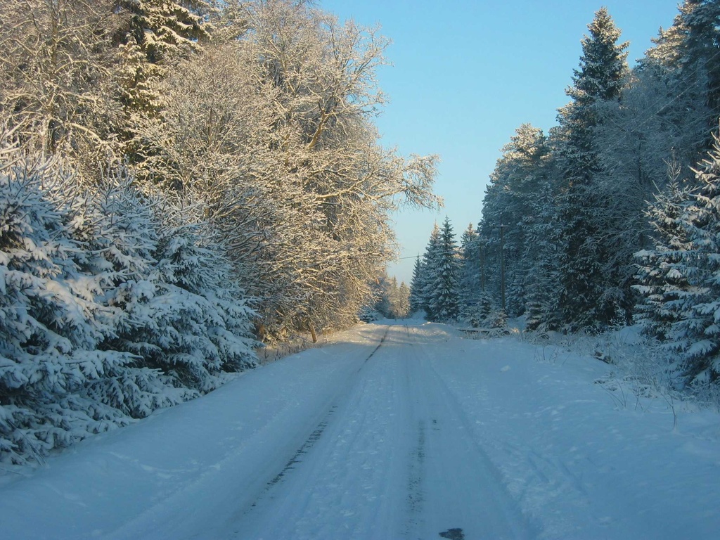 foto Talvine tee Harjumaal 2003