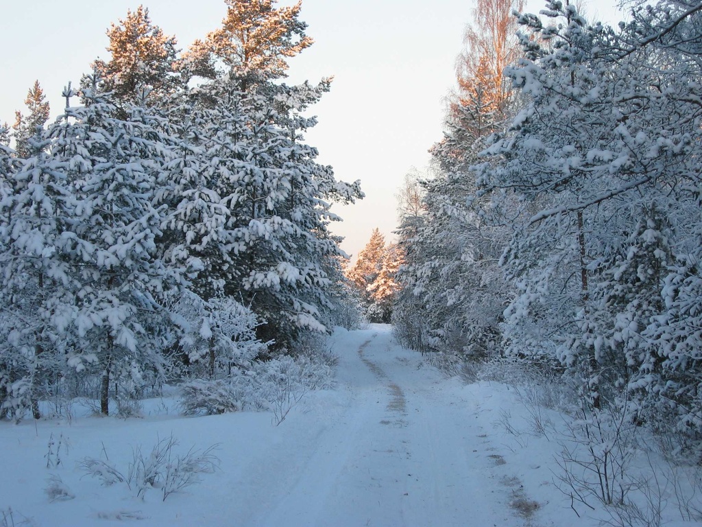 foto Talvine tee Harjumaal 2003