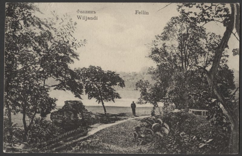 trükipostkaart, Viljandi, Kaevumägi, järvepoolne kirdenurk, u 1915