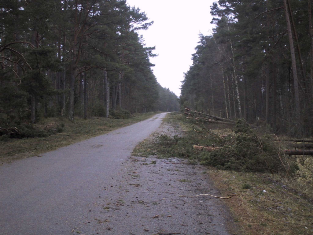 foto Tormikahjustused juuni 2000
