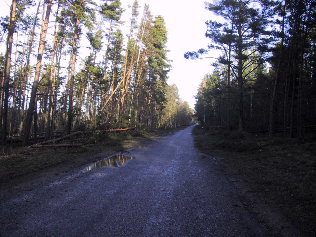 foto Tormikahjustused juuni 2000