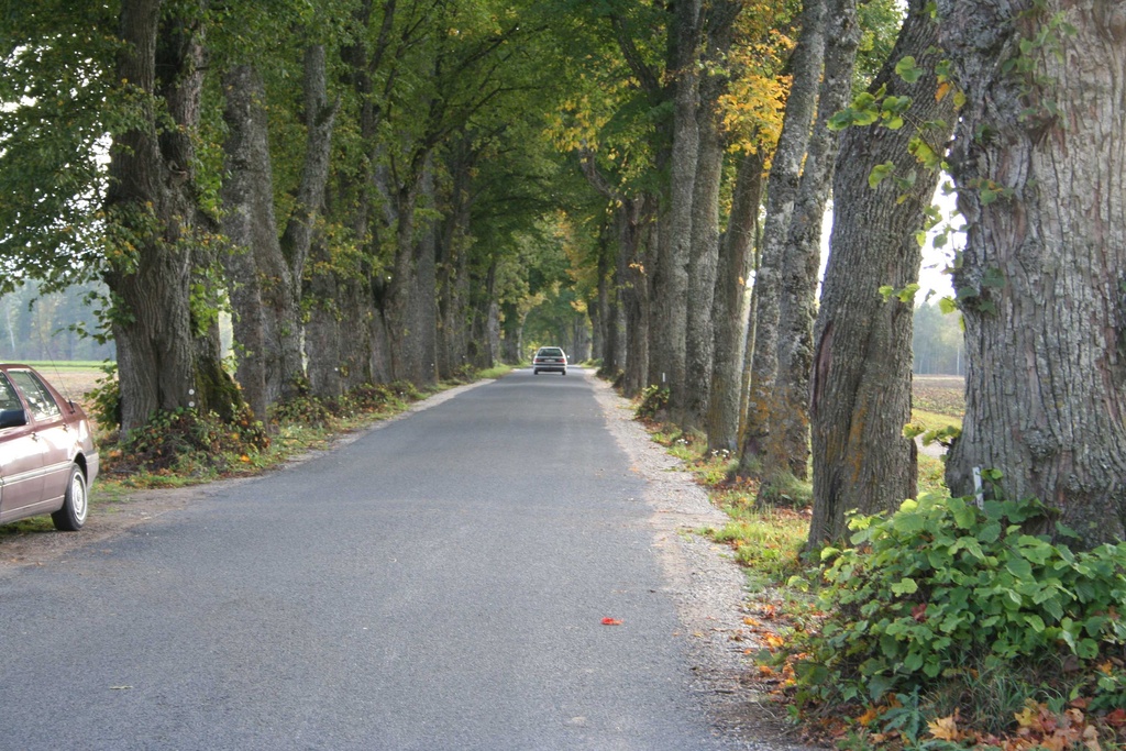 foto Tee ehitusobjekt 2005. Olustvere kergliiklustee