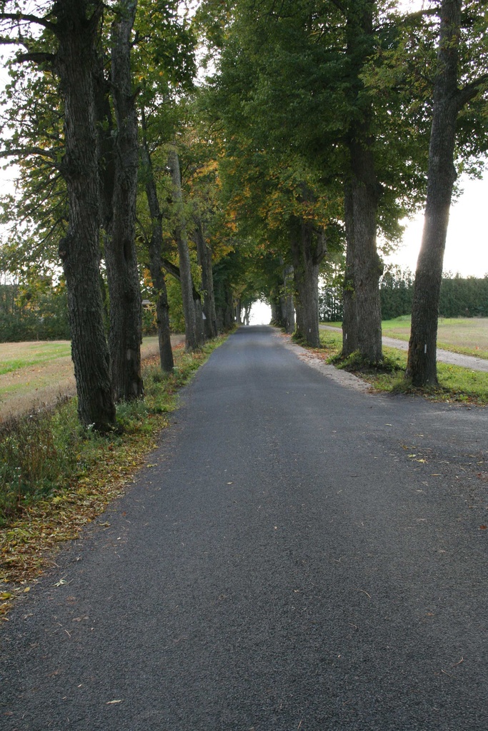 foto Tee ehitusobjekt 2005. Olustvere kergliiklustee