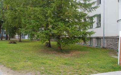 Rakvere I Keskkooli 75. aastapäeva tähistamine rephoto