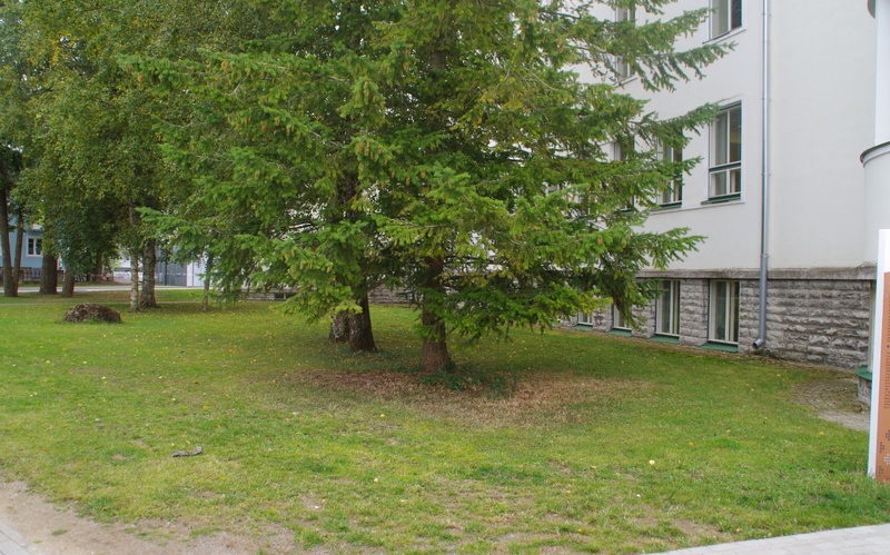 Rakvere I Keskkooli 75. aastapäeva tähistamine rephoto