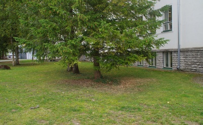 Rakvere I Keskkooli 75. aastapäeva tähistamine rephoto