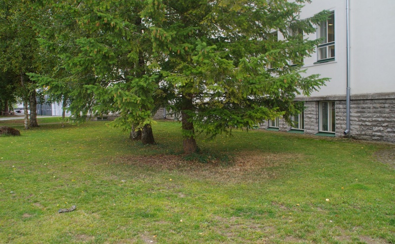 Rakvere I Keskkooli 75. aastapäeva tähistamine rephoto