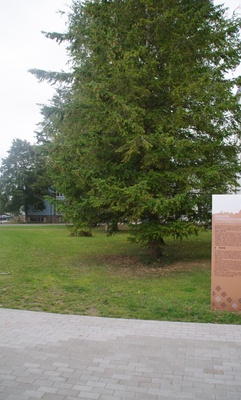 Rakvere I Keskkooli 75. aastapäeva tähistamine rephoto