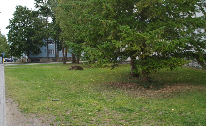 Rakvere I Keskkooli 75. aastapäeva tähistamine rephoto