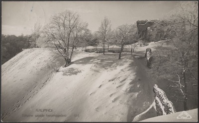 fotopostkaart, Viljandi, Kaevumägi, II Kirsimäe järvepoolse osa poolt, u 1920, foto J. Riet  duplicate photo