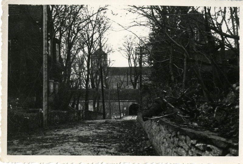 1969.a. sügistormiga murdunud puud Kuressaare kindluse kirderaveliinil