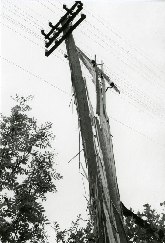 Välgust tabatud telefonipost Reos
