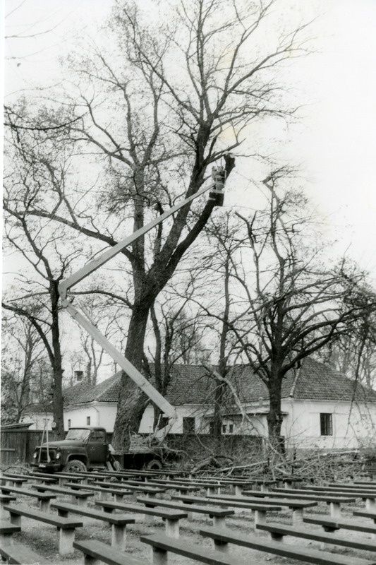 Suure papli mahavõtmine Lossihoovis