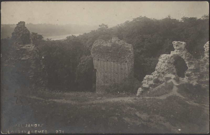 fotopostkaart, Viljandi, Kaevumägi, lõunapoolne osa, Musumägi, järv, u 1915, foto J. Riet