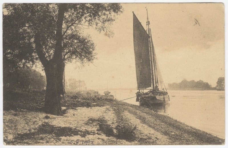 Purjepaat ranna ääres