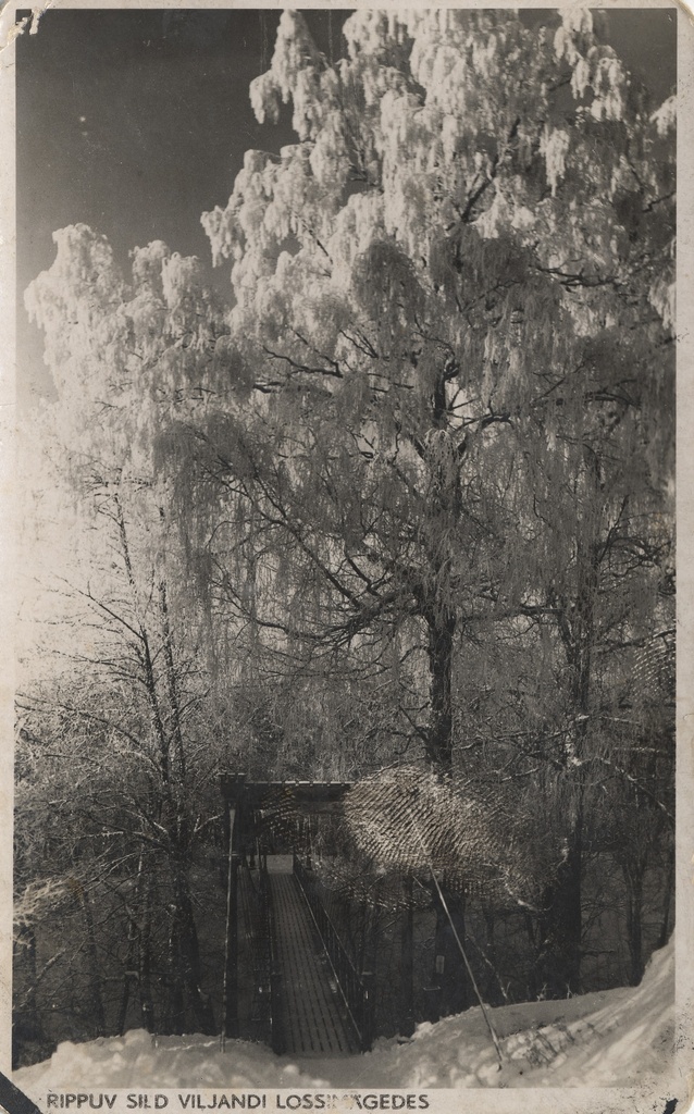 Bridge in Viljandi Castle Mountains