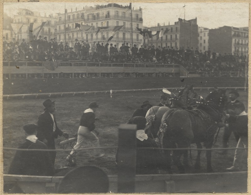 Härjavõitlus Alžiiris