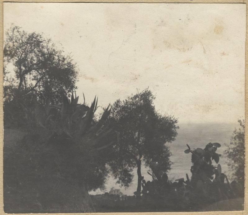 Loodus Alžiiri piirkonnas