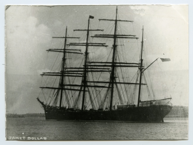 4-mastiline park "Janet Dollar" merel