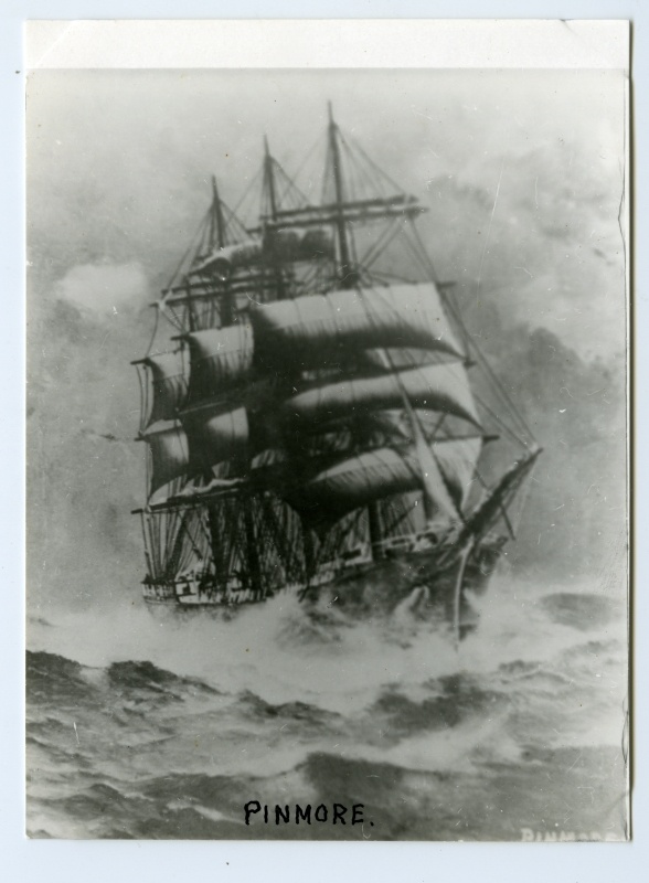 4-mastiline park "Pinmore" merel