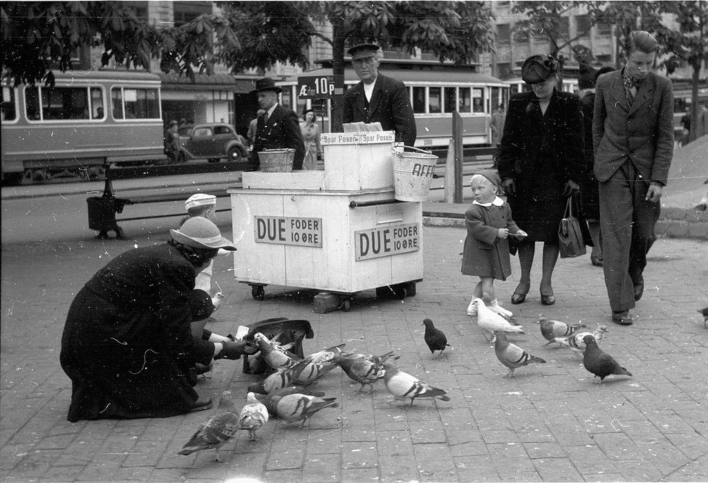 Women and children feading pigeons in Copenhagen in 1946