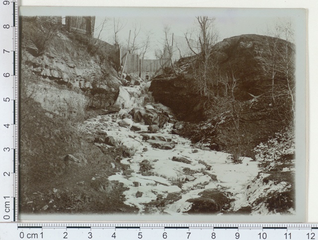 Hundikuristik kevadel suurel reedel Tallinna lähedal 1912