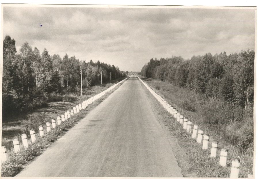Tartu-Tallinn maantee Tähtvere metsas