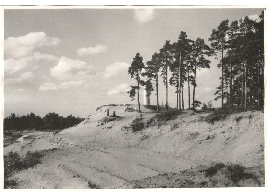 Rannapungerja luited
