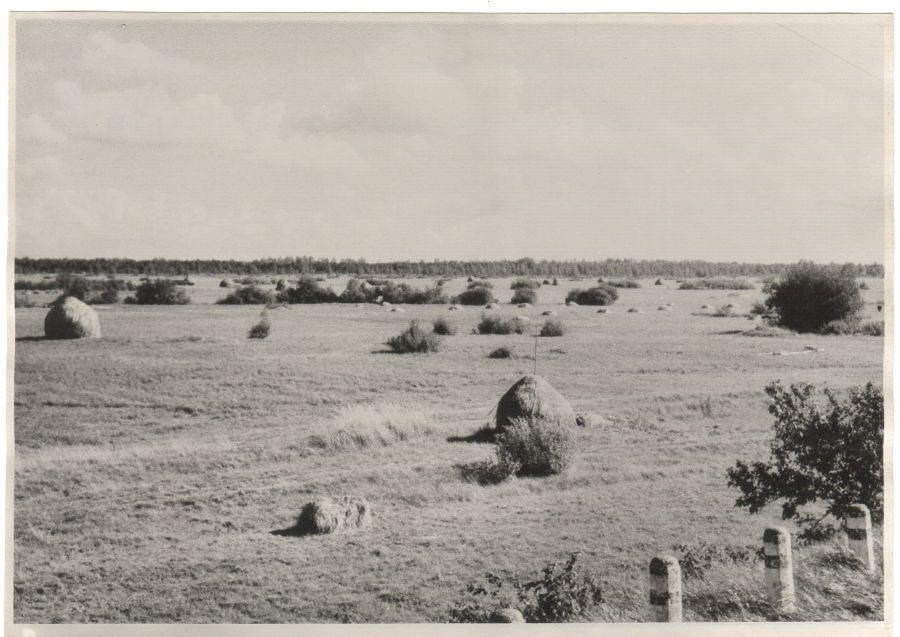 Emajõe luht Rannu-Jõesuus