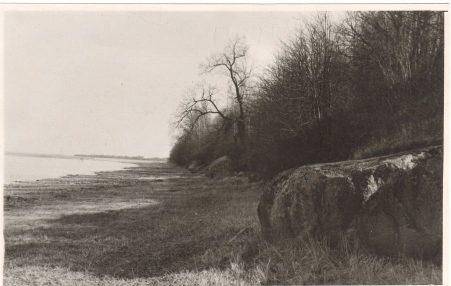 Võrtsjärve idakallas Tamme juures
