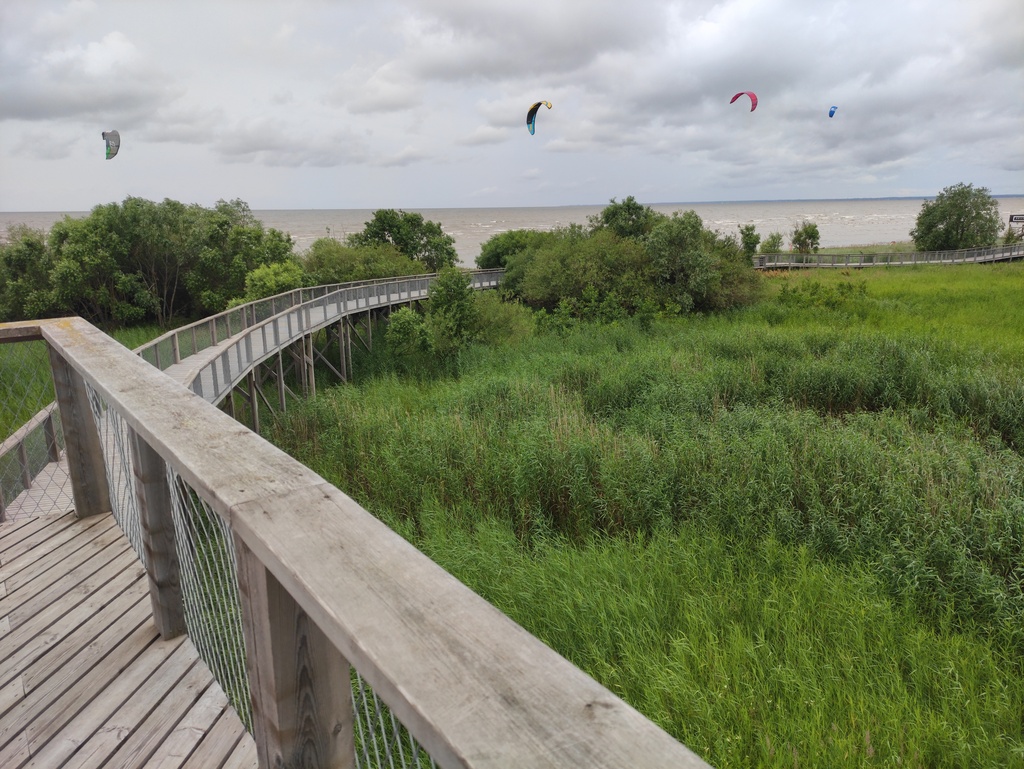 Naučná stezka, Pärnu rannaniidu matkarada, Pärnu, Estonsko 02 - lang