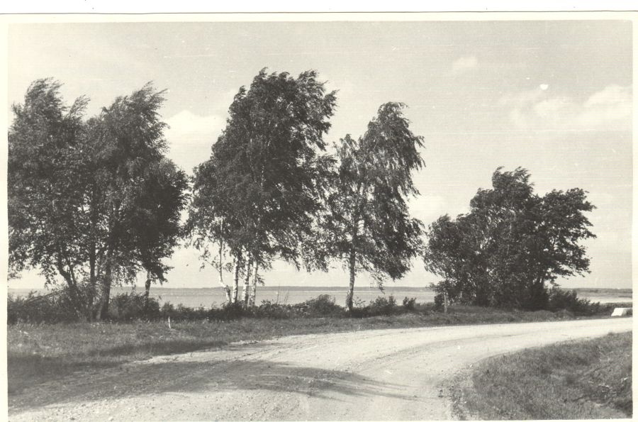 Võrtsjärve idakallas Tartu-Viljandi maantee lähedal