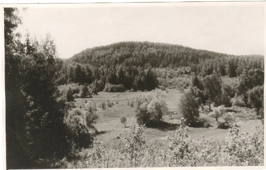 Vaade Suur-Marjamäele Hobustemäelt