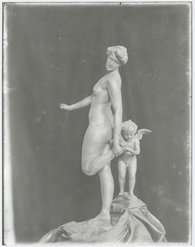 A. Adamsoni "Amor arstina".