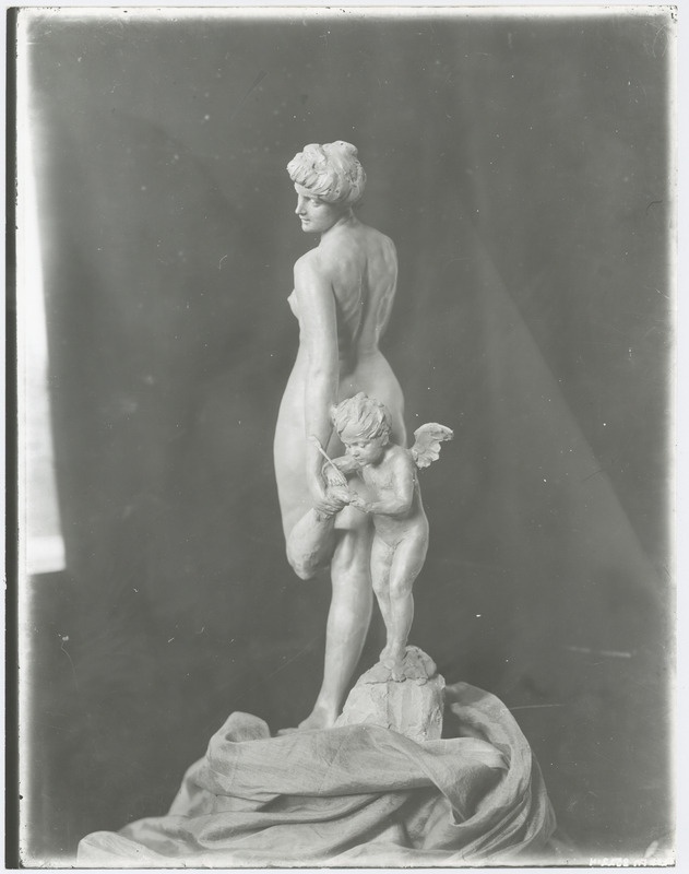 A. Adamsoni "Amor arstina".